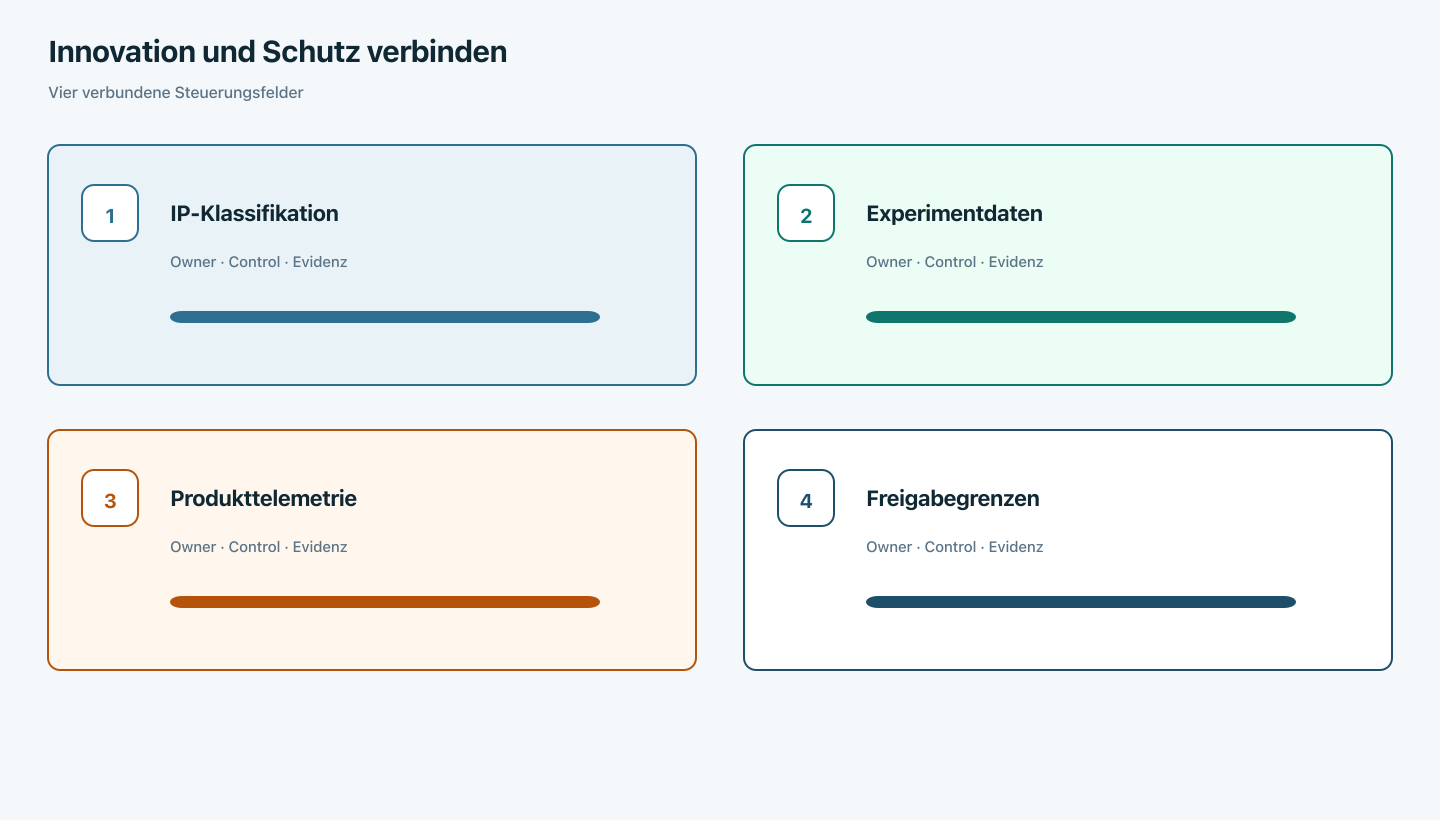 Experiment, Produkt-Grain und Partner-Share an der IP-Grenze